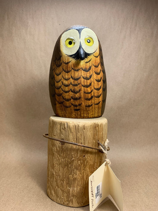 Sawwhet Owl on Post